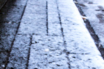 初雪が降りました