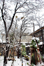 庭への降雪